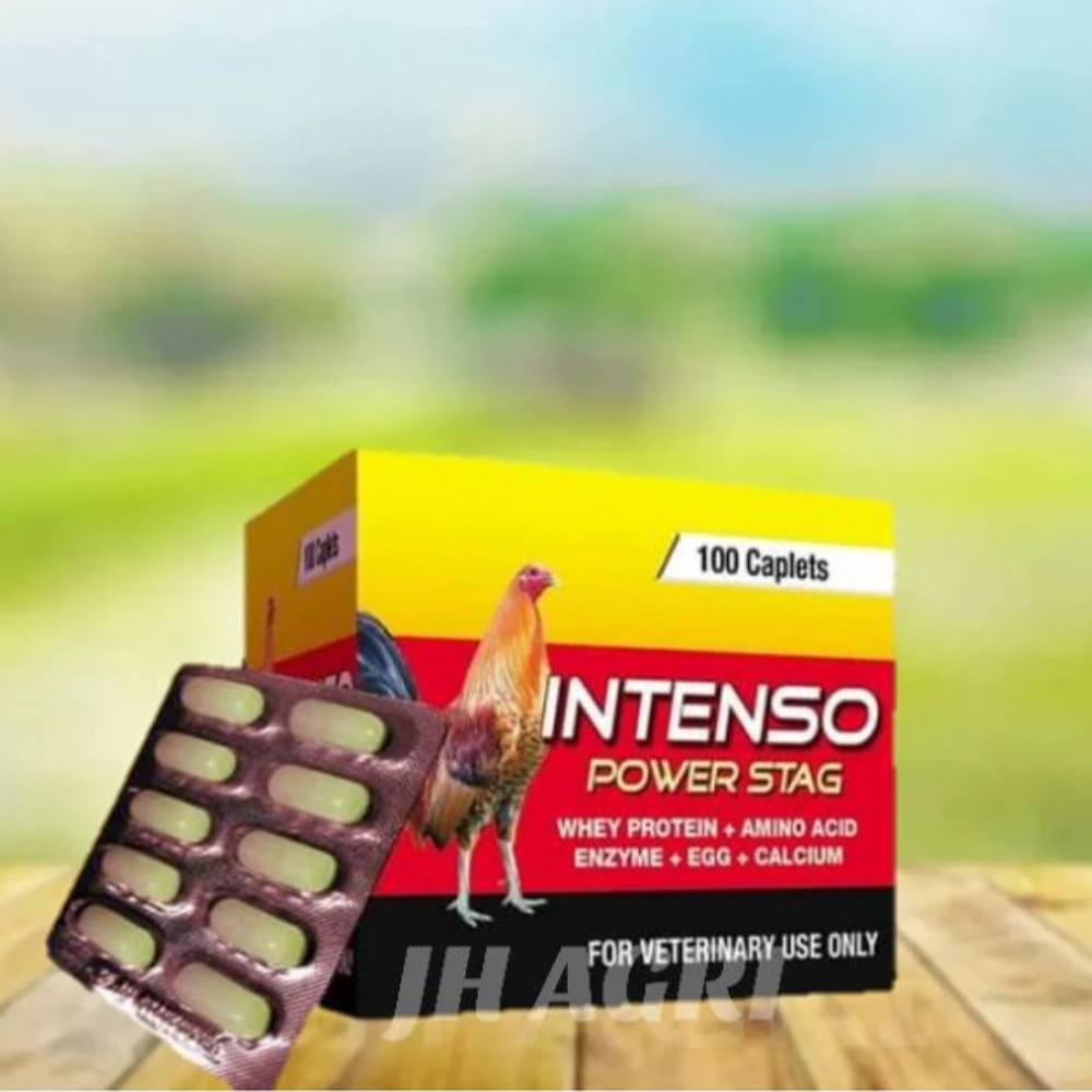 Intenso Power Stag 1 Piece