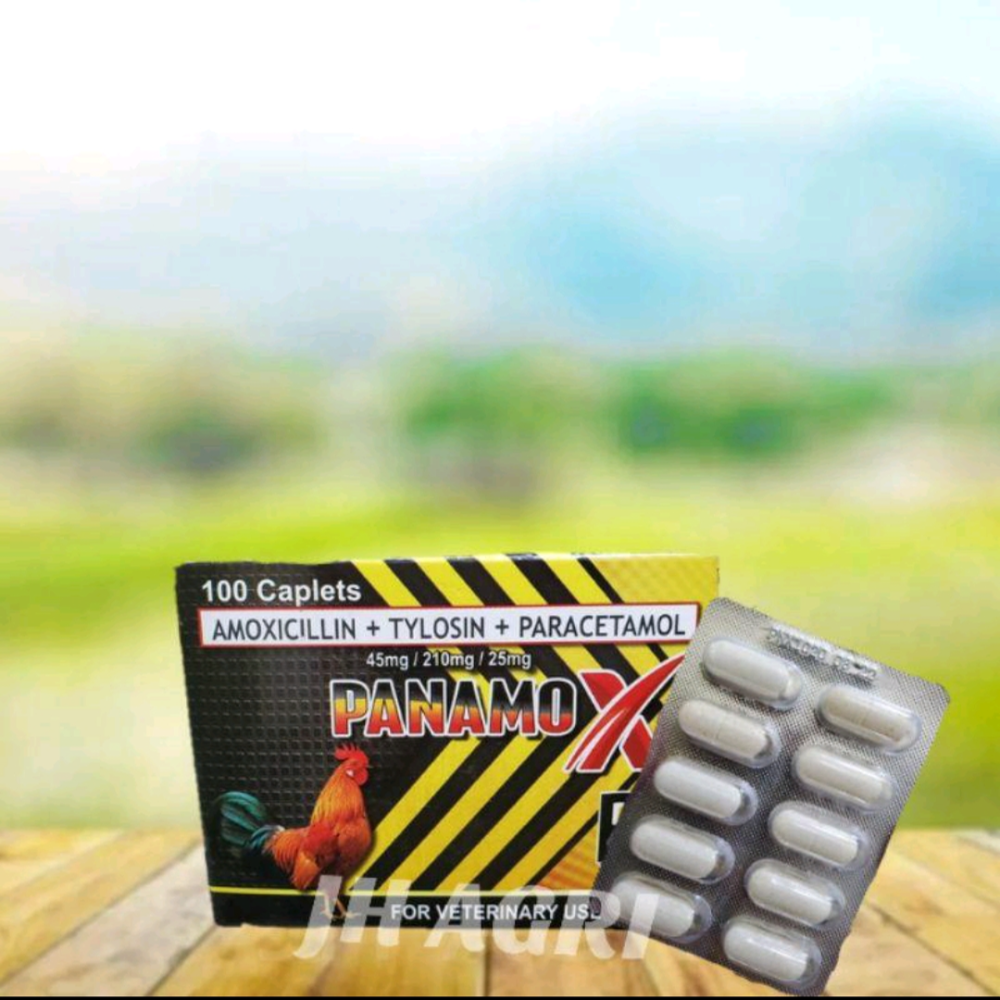 Panamox Forte for fighting cocks (1 Piece)