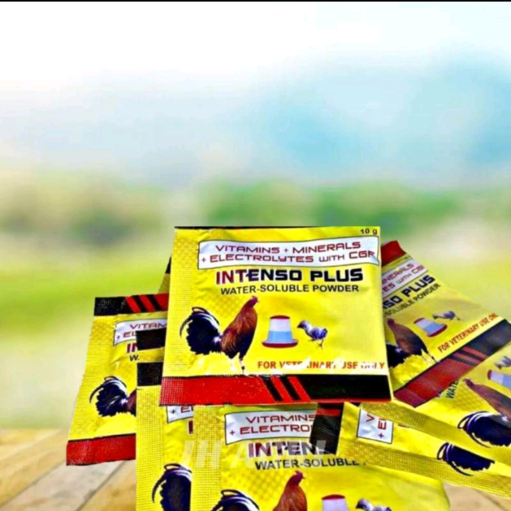 Intenso Plus Water Soluble Powder (10 grams)