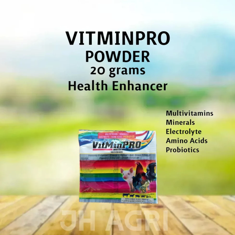 VitMinPro Powder Battlecock 20g (1 pc)