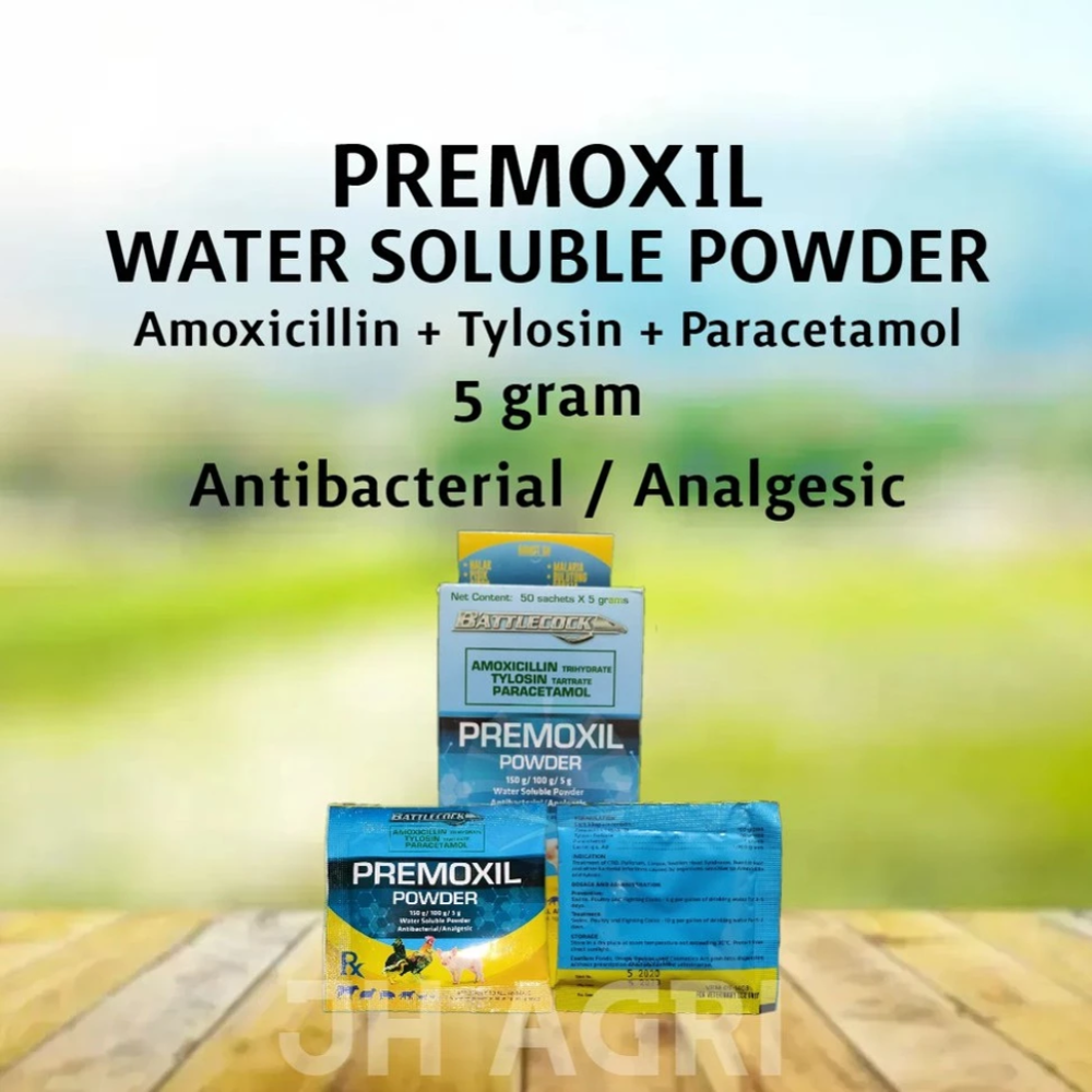 Premoxil Powder | Antibacterial 5g (1 Sachet)