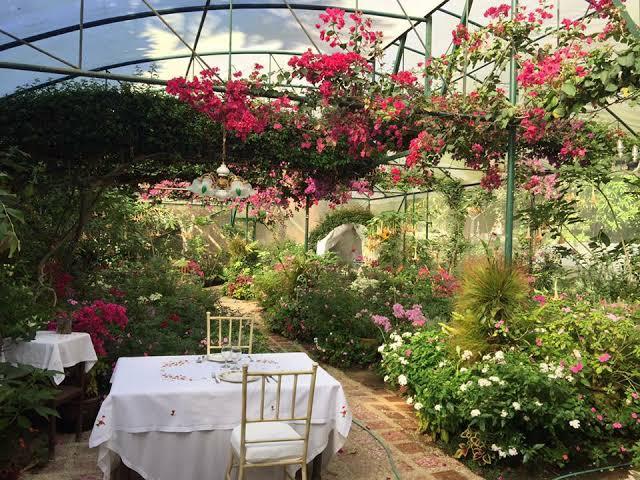 Lunch at Sonya's Garden