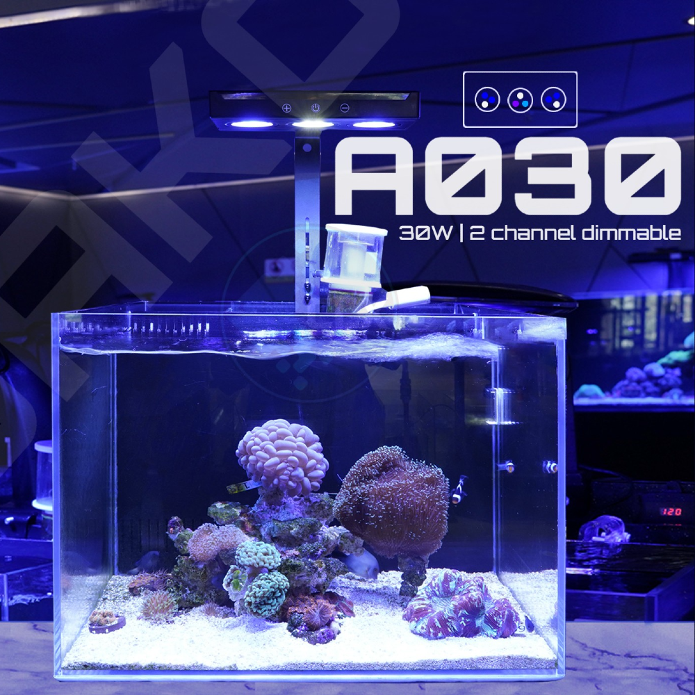 Gako A030 Reef Light