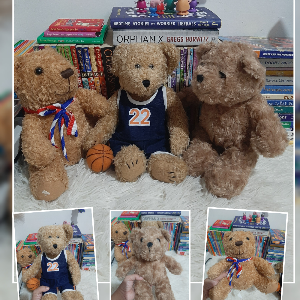 Books and Stuffies