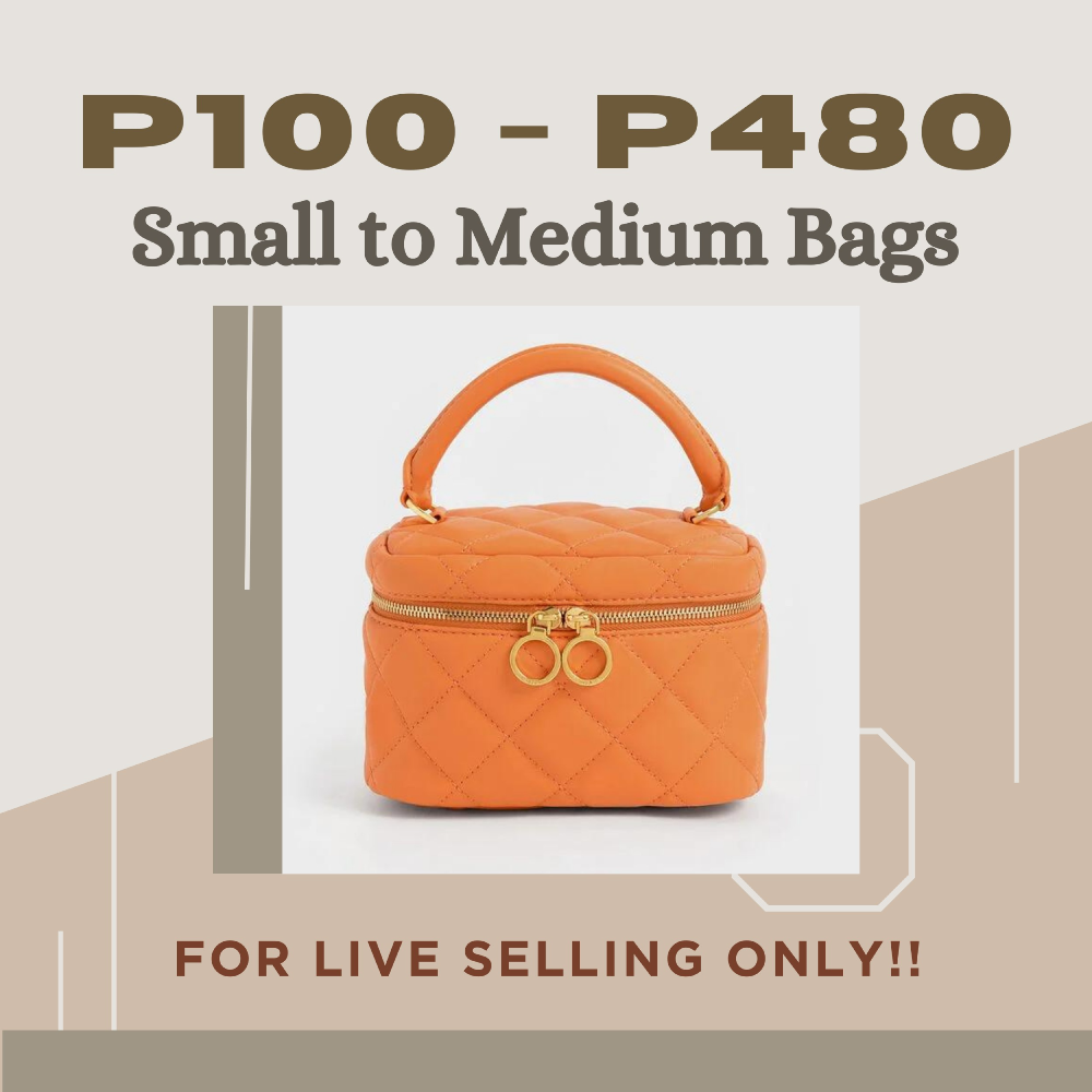 [ P100 - P480 ] SMALL TO MEDIUM SIZE BAGS