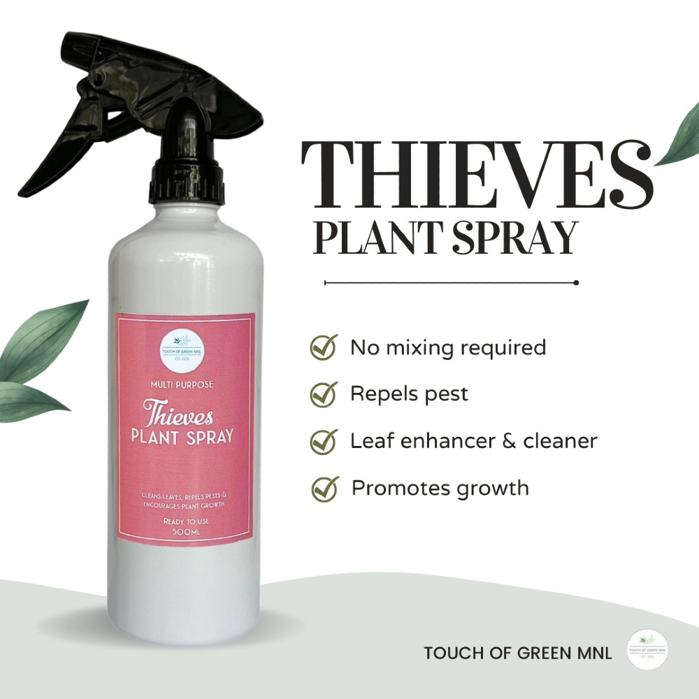 Thieves Plant Spray 500ml (Leaf cleaner, Leaf enhancer, Repels Pest)