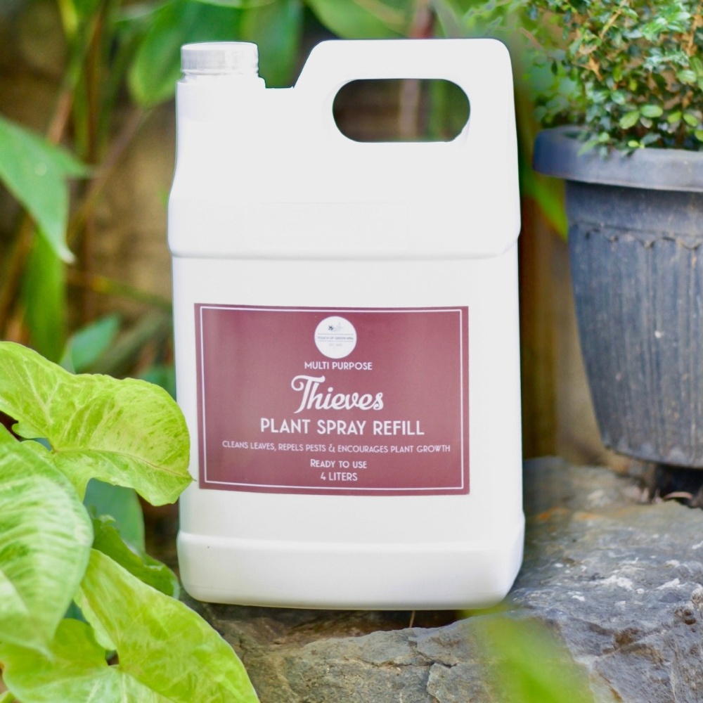 4 LITER THIEVES PLANT SPRAY (Leaf cleaner,Leaf shiner,foliage enhancer)