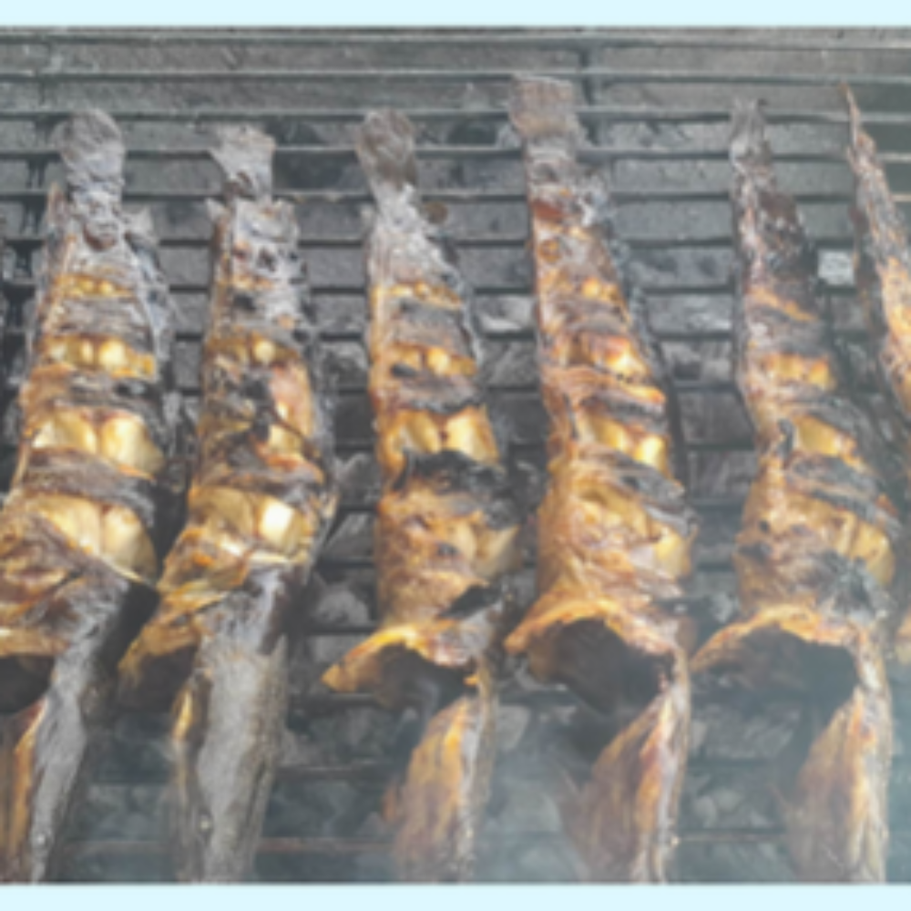 Grilled Hito