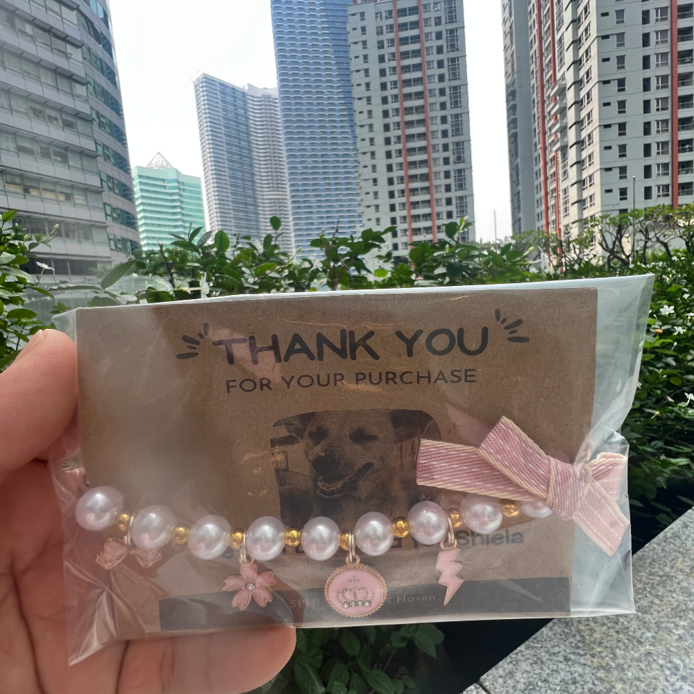 Cat/dog collar