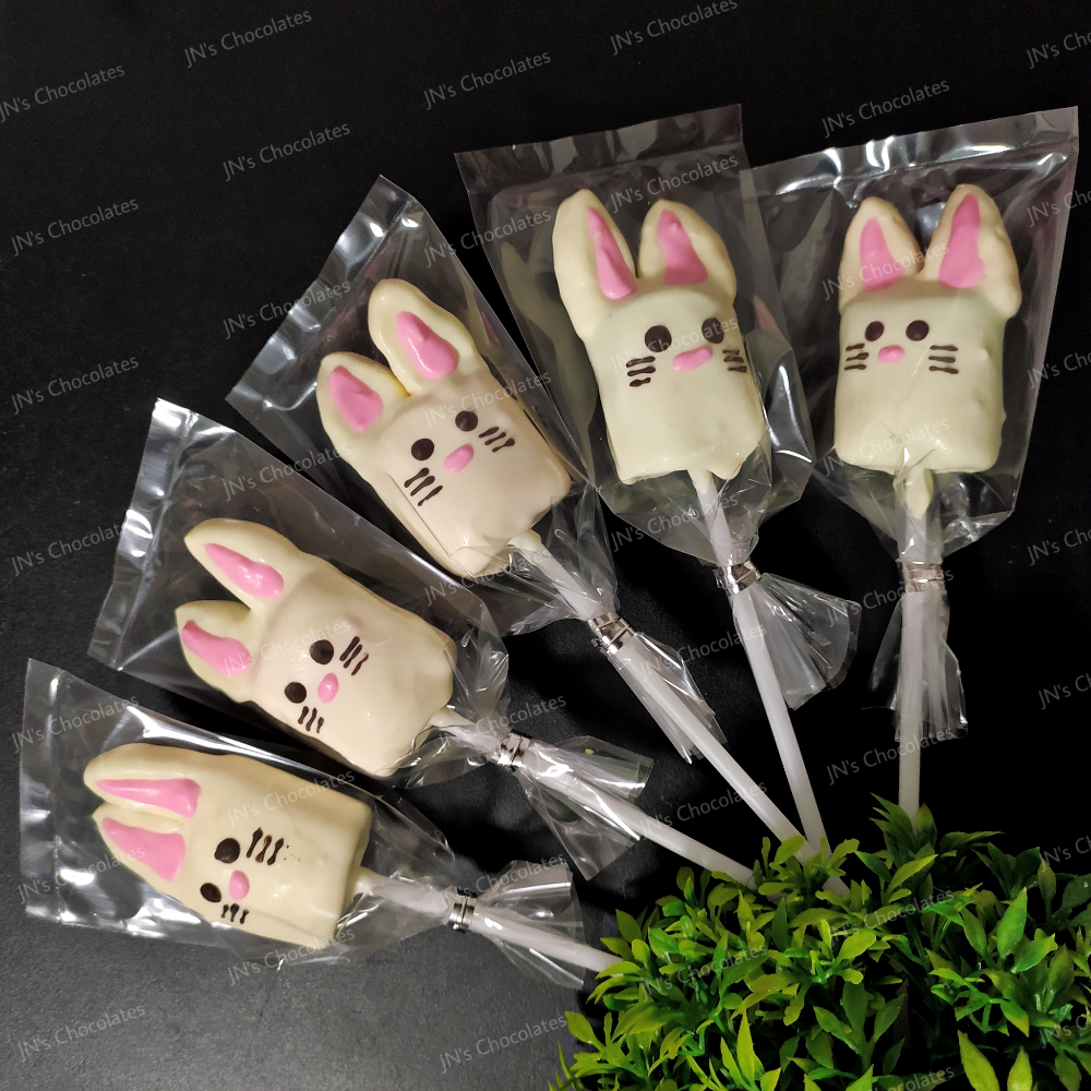 Bunny MP (animals)