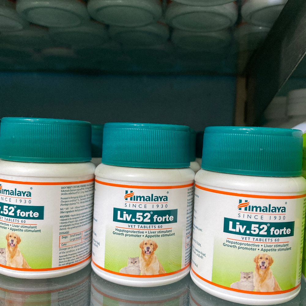Himalaya Liv 52 Forte