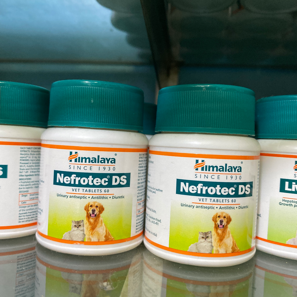 Himalaya Nefrotec DS