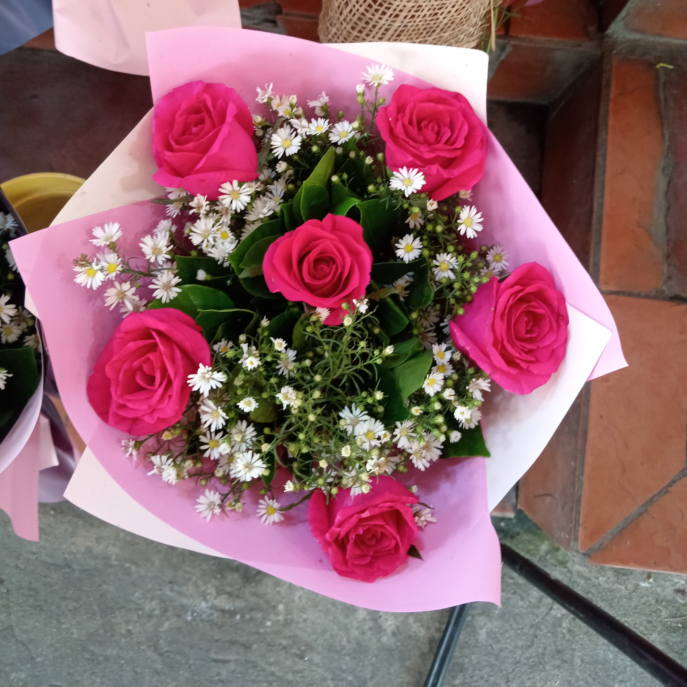 6pcs rose