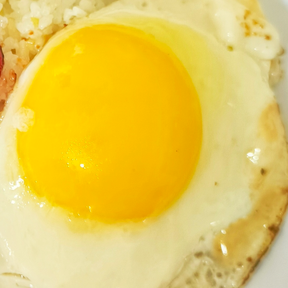 Egg