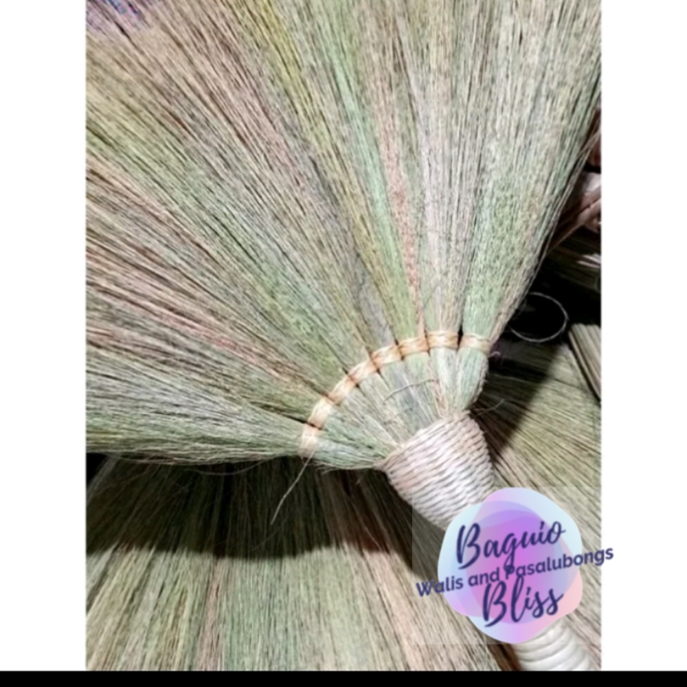 8 Fingers Walis Tambo / Baguio Broom