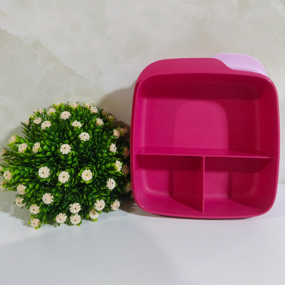 Tupperware Divided LunchBox 550ml (per piece)