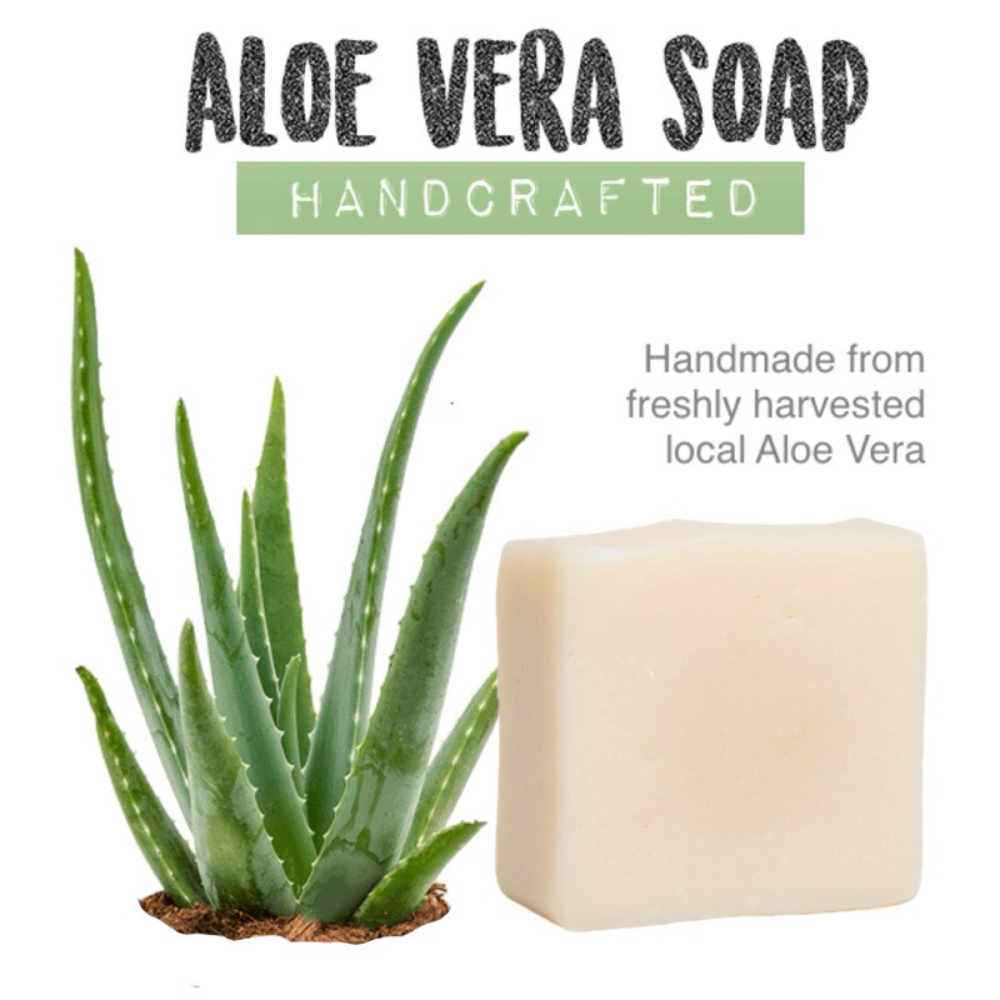 Aloe Vera Soap, Cold Processed