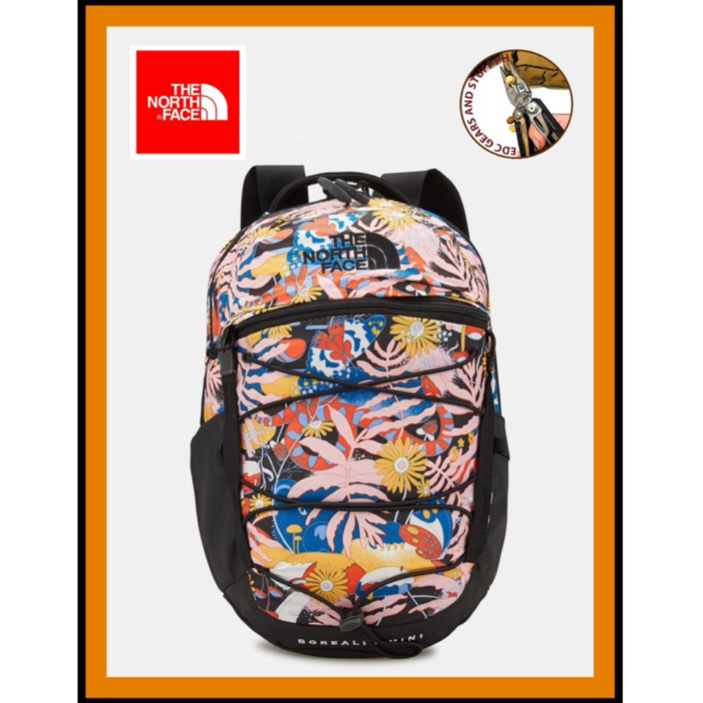 The North Face Borealis Mini backpack - multicolor