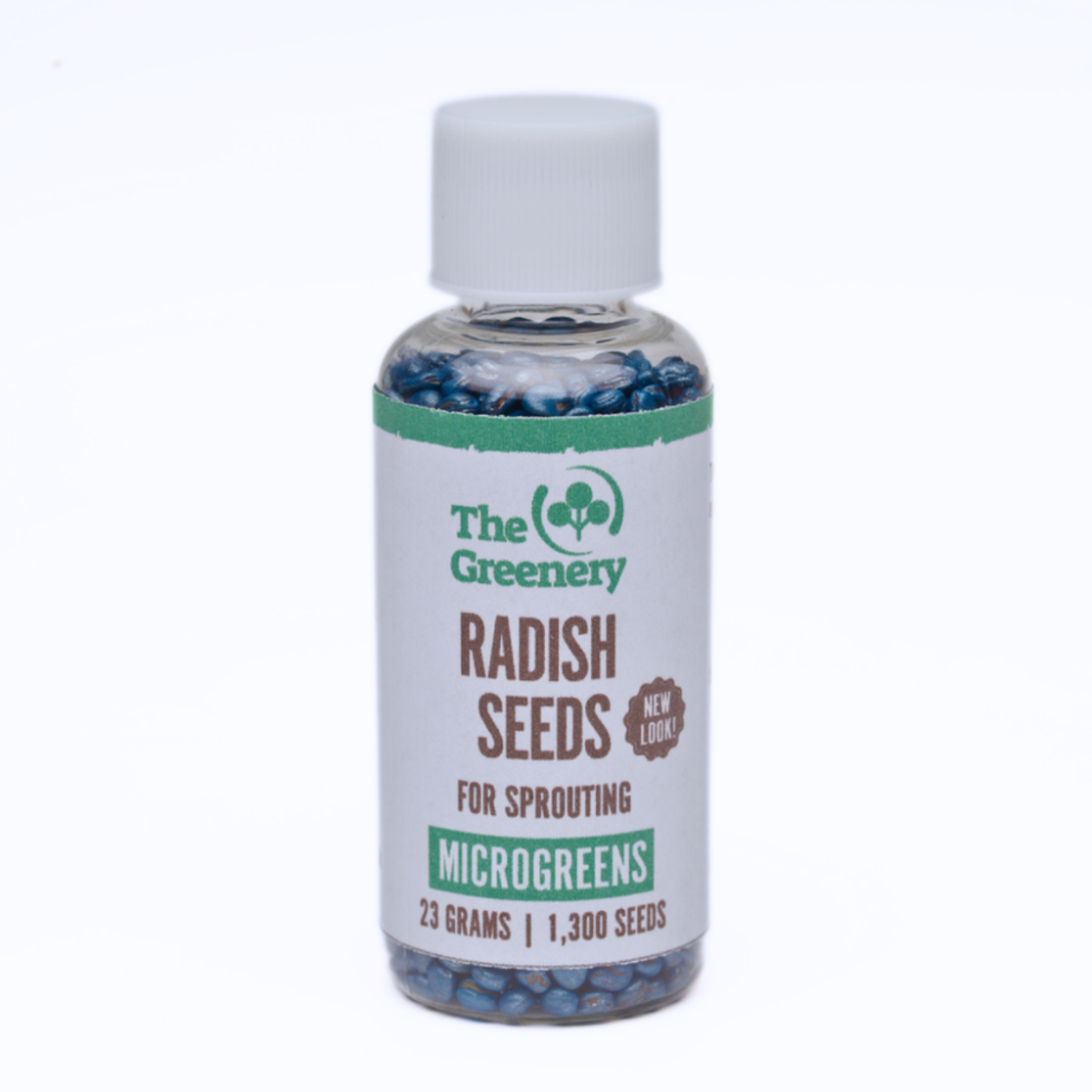 Radish Seeds | For Sprouting | Microgreens