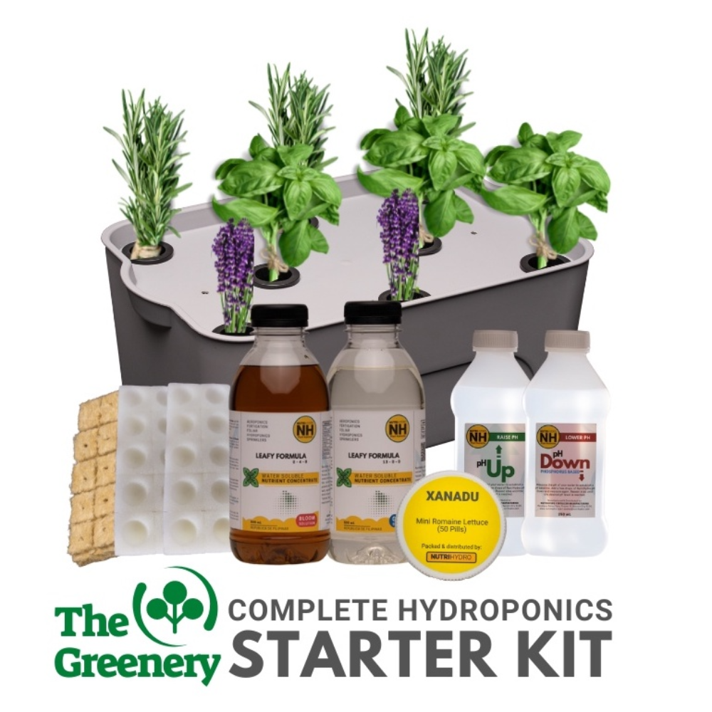 Complete Kratky Hydroponics Starter Kit | 8 Holes
