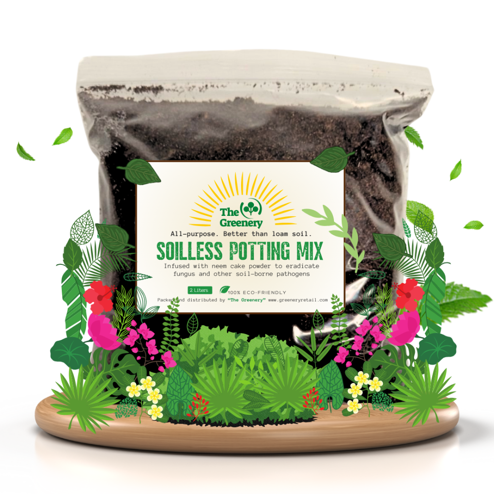 All-purpose Soilless potting mix | 2 Liters | Anti Fungus