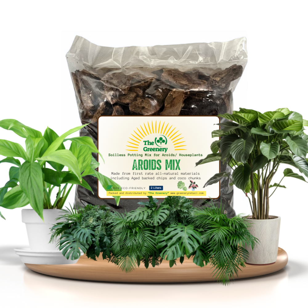 Soilless Potting Mix for House Plants | W/ Pine Bark