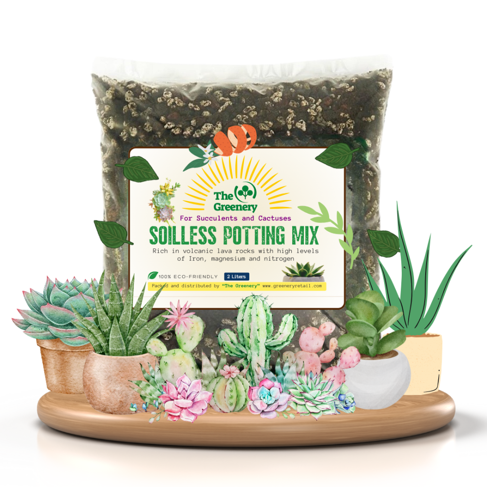 Succulent and Cactus Potting Mix with Organic Nutrients