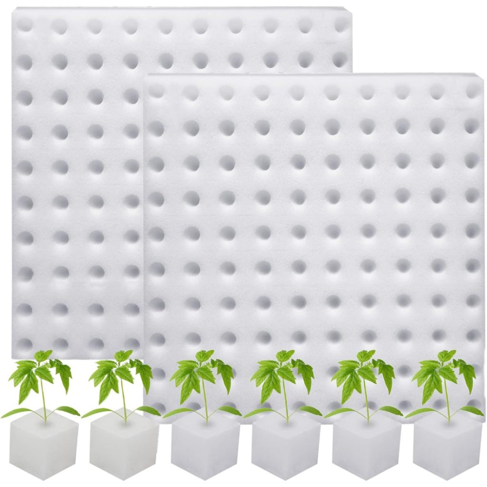 Hydroponic Seedling Sowing Sponge | 100 Slots| White