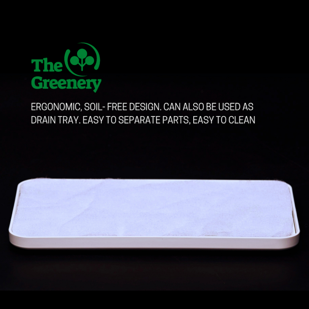 Microgreen Tray