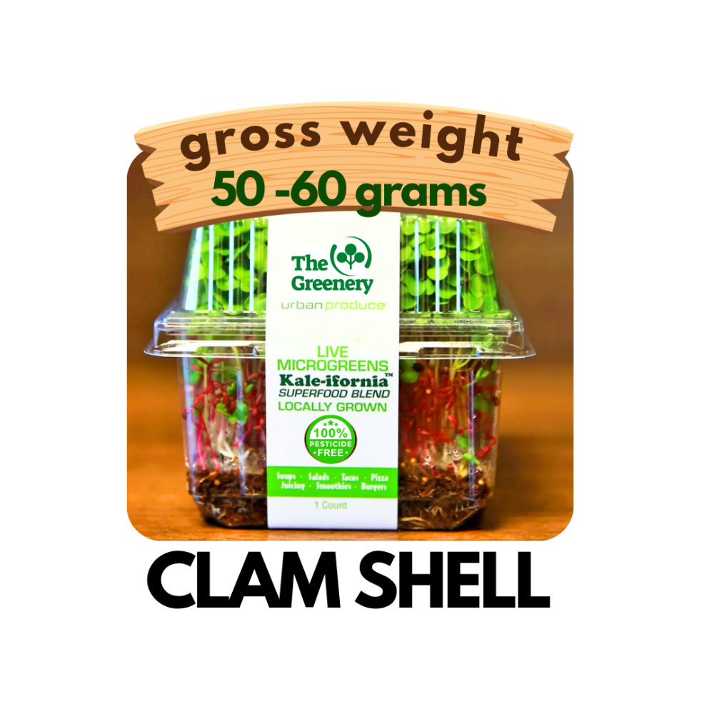 Clam Shell | Fresh Live Microgreens