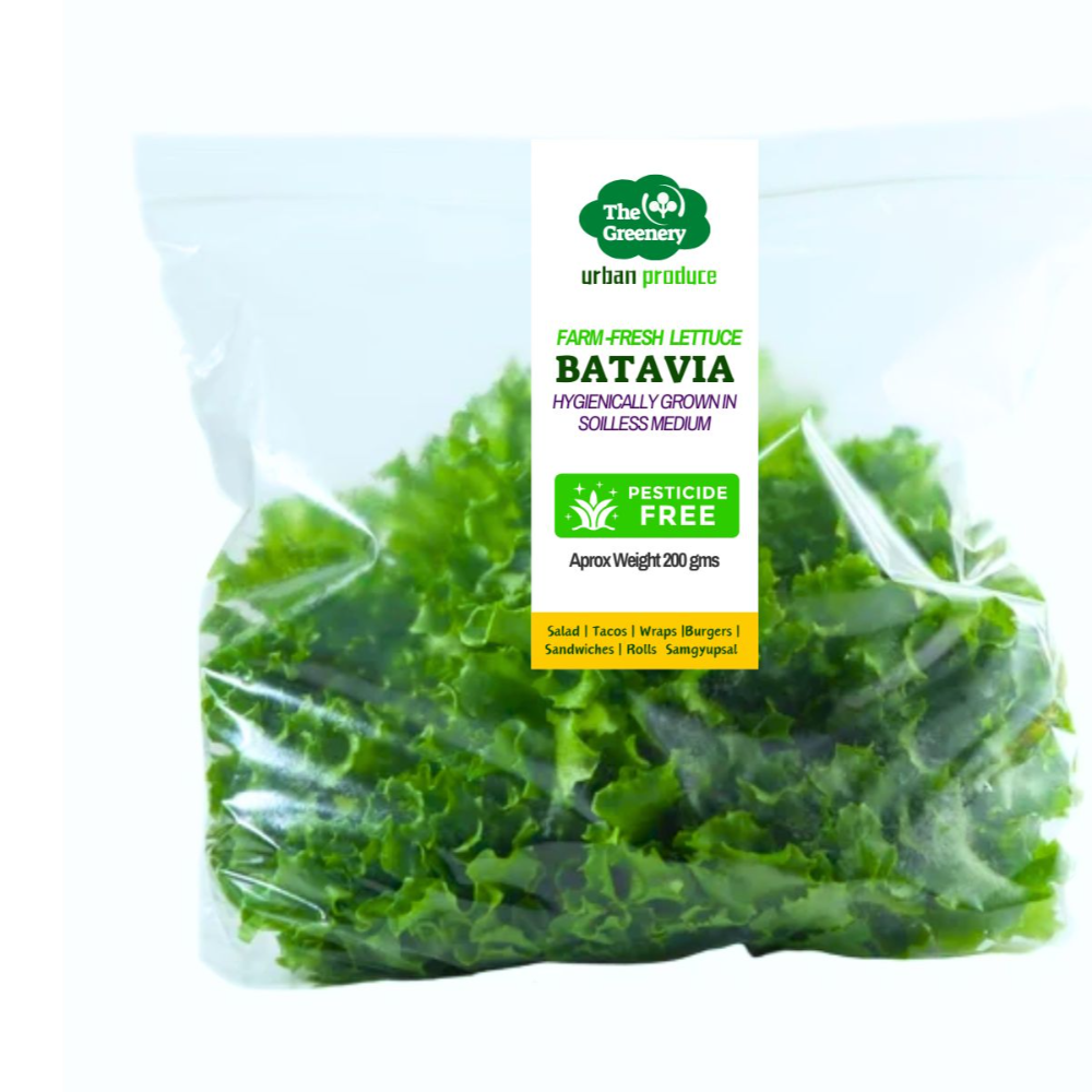 Lettuce in a Bag