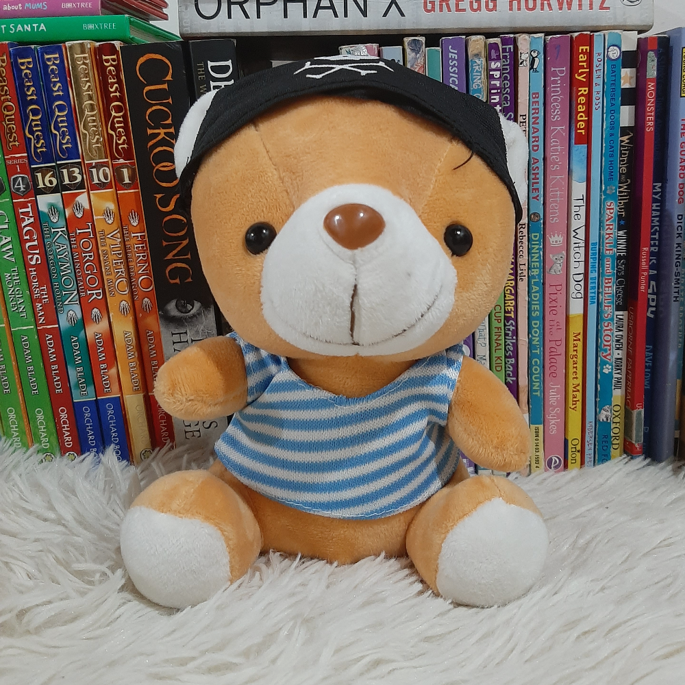 Pirate bear stuffed toy