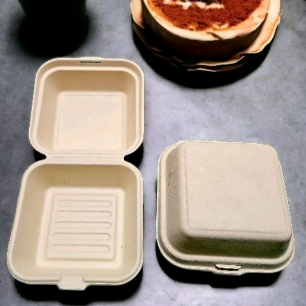 450ML Bento Bento Box/ Clamshell Bagasse 6x6x3 10PCS