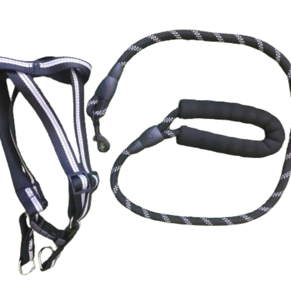 Pet Dog Leash with harness Reflective Small