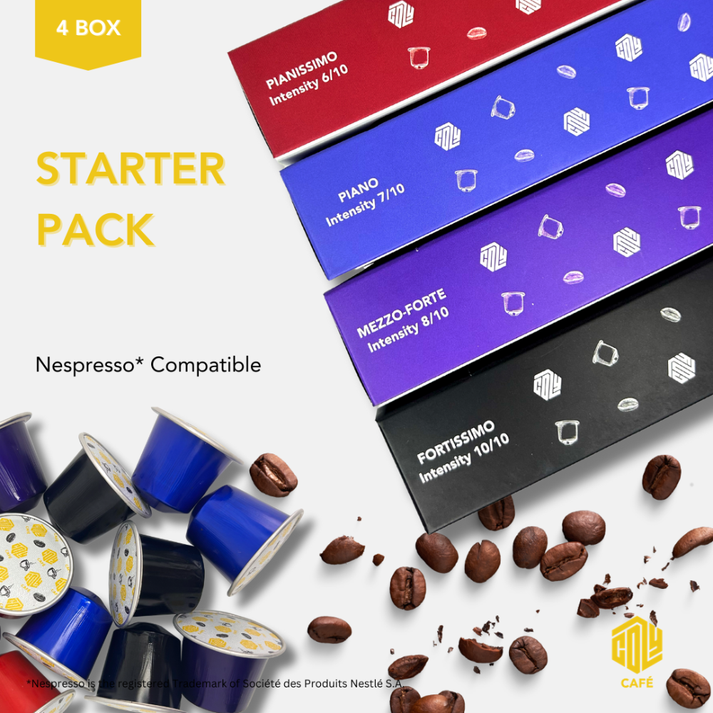 Cozy Starter Pack (4 boxes)
