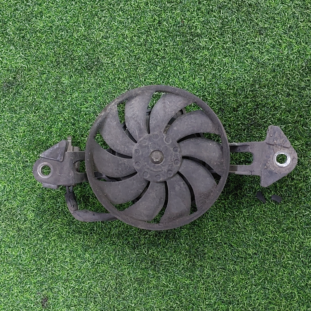 Radiator Fan