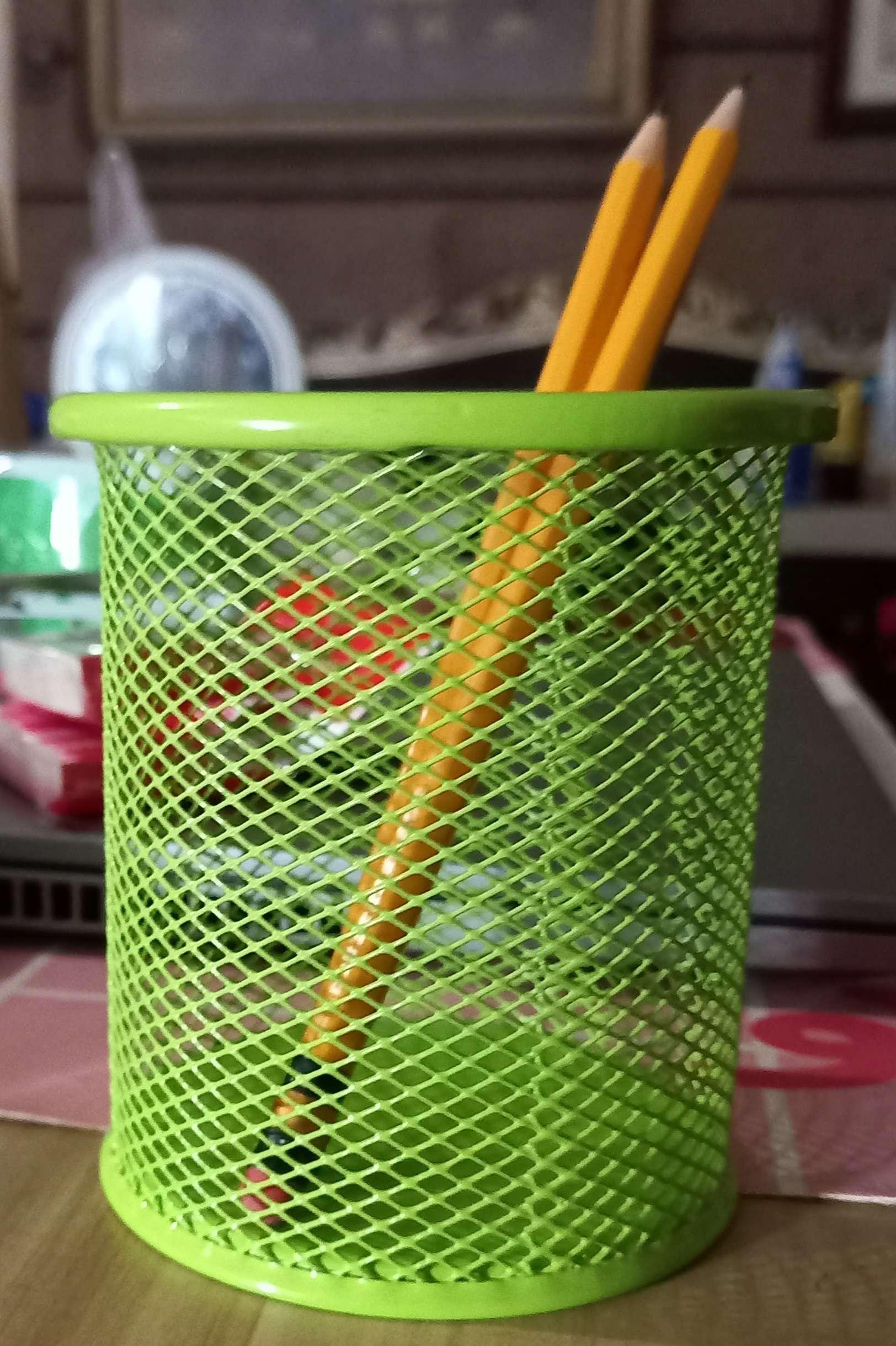 Pen and pencil holder
